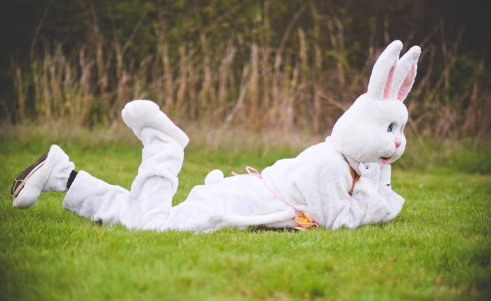 Confessions of an Easter Bunny